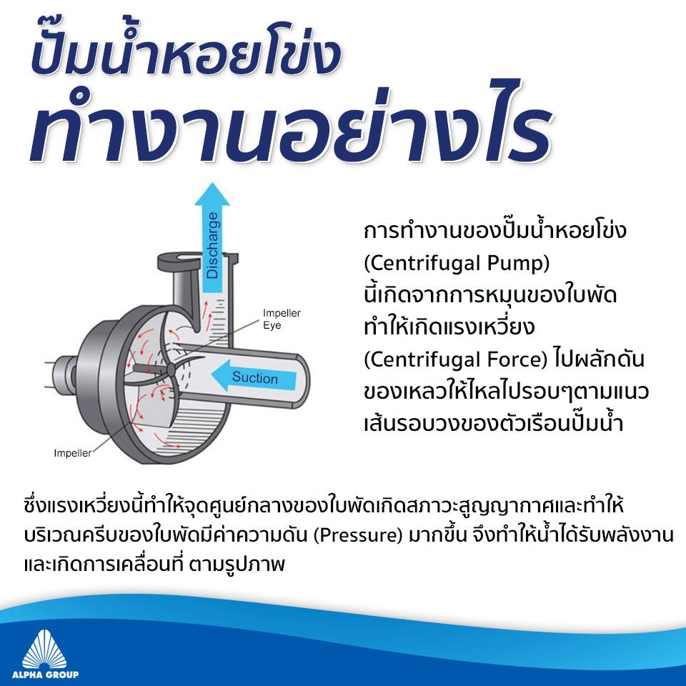 Centrifugal Pump คืออะไร และทำงานอย่างไร | Alpha Group