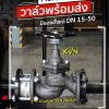 Piston Valve ของ Klinger จำหน่ายโดย อัลฟ่ากรุ๊ป