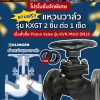 Piston Valve ของ Klinger จำหน่ายโดย อัลฟ่ากรุ๊ป