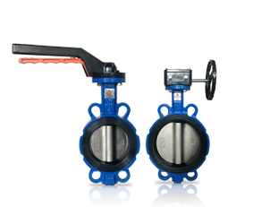 Butterfly Valve