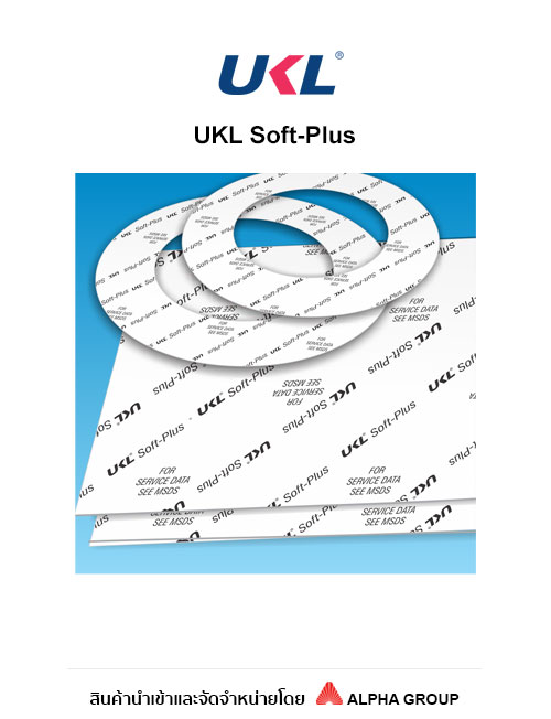 PTFE Gasket