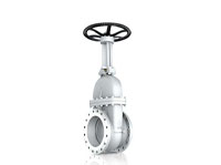 Flanged Gate Valves