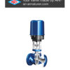 ARI-STEVI 448/449 Control Valve