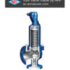 ARI-SAFE safety valve