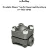 Bimetallic Superheat Steam Trap - Image 2