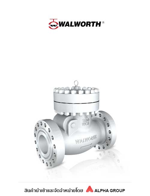 Cast Steel Swing Check Valve - Class 150/300/600