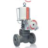 Linear Globe/Angle Control Valves - Mark One