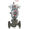 Linear Globe/Angle Control Valves - Valtek GS