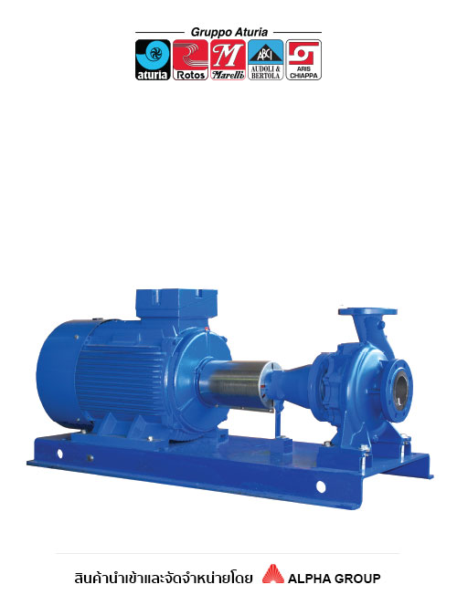 Aturia-rotos – End Suction Pump Model NA/NE