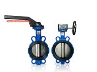 Butterfly Valve