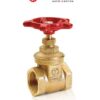 Giacomini – Gate valve Type R55