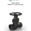 Piston Valve KVMN 1/2"-2" Sleeved Design