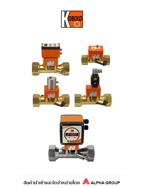 Kobold – Ultrasonic Flow Meter Model DUK