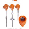 Kobold – Thermocouple Thermometers Model TTL