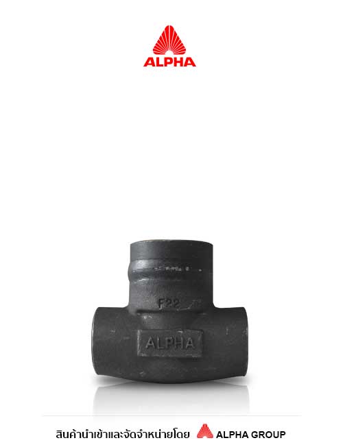 ALPHA – Forged Steel Check Valve – Class1500