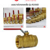 Giacomini – Ball Valve 1 Pc Type R250D