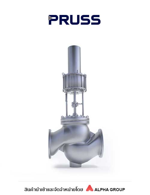 PRUSS – Control Valve