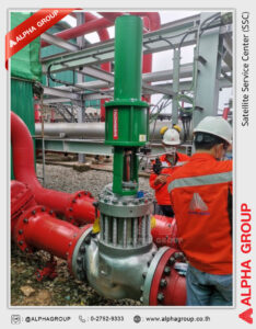 Certified Service Center by Flowserve | Alpha Group