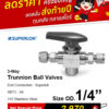 SUPERLOK – Trunnion Ball Valves - Image 2
