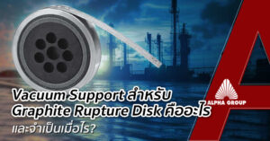 Vacuum Support for Graphite Rupture Disk | Alpha Group