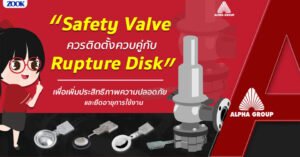 Rupture Disk with Safety Valve | Alpha Group