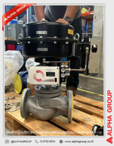 Complete Valve Assembly | Alpha Group