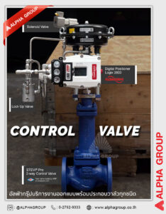 Complete Valve Assembly | Alpha Group