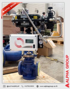 Complete Valve Assembly | Alpha Group