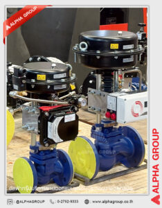 Complete Valve Assembly | Alpha Group