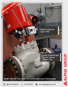 Complete Valve Assembly | Alpha Group
