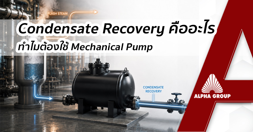 What is Condensate Recovery? | Alpha Group