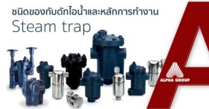 อุปกรณ์ดักไอน้ำ (Steam Trap) มีกี่ชนิด เลือกแบบไหนให้เหมาะกับระบบไอน้ำในโรงงาน | Alpha Group