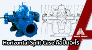 Horizontal Split Case