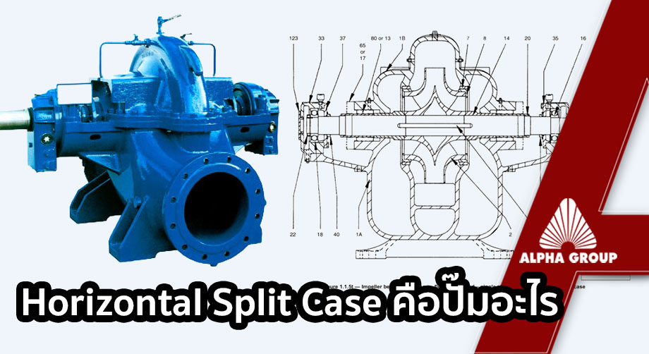 Horizontal Split Case
