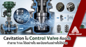 What Causes Cavitation in Control Valves | Alpha Group