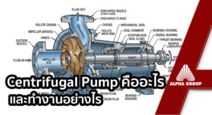 Centrifugal Pump คืออะไร และทำงานอย่างไร ฉบับเข้าใจง่ายสำหรับวิศวกรโรงงาน