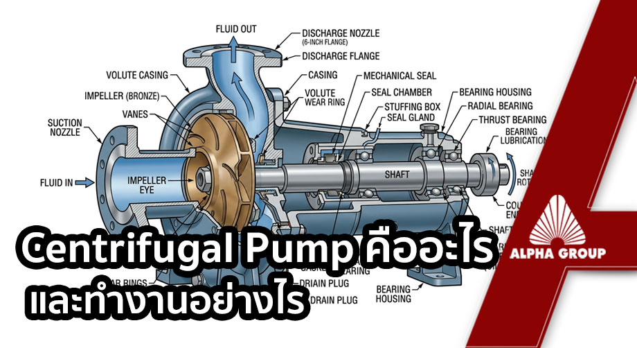 Centrifugal Pump คืออะไร และทำงานอย่างไร ฉบับเข้าใจง่ายสำหรับวิศวกรโรงงาน
