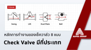 ประเภท check valve